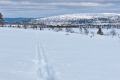 Skiing tracks