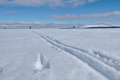 Skking tracks