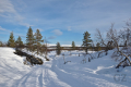 Skiing tracks