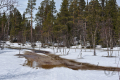 Skiing tracks