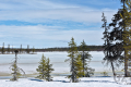 Suasjärvi