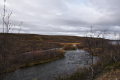 Kutukoski