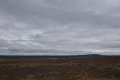 Tundra
