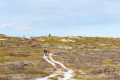 Trail