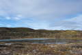 Frozen Lake
