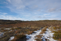 Trail