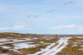 Trail