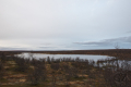 Salmijärvet