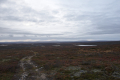 Trail