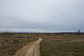 Kalmakaltio