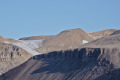 Tordalen