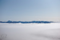 Fog