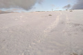 Traces
