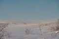 Olkojärvi
