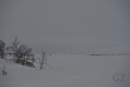 Snowmobile track
