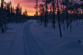 Tracks