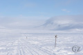 Termisjärvi