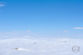 Käsivarsi Wilderness Area
