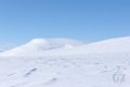 Pikku-Halti