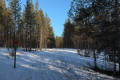 Snowmobile Track