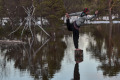 Flood