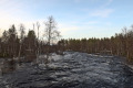 Flood