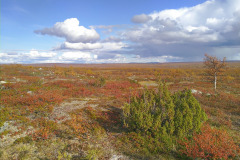Pöyrisjärvi WIlderness Area