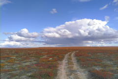 ATV Trail