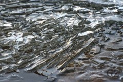 Ice