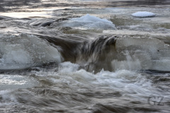 Rapids