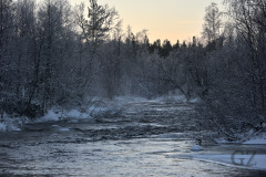 Rapids
