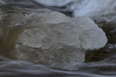 Rapids