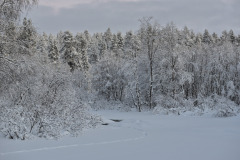 Näkkäläjoki Näkkäläjoki
