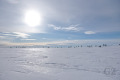 Rautujärvi