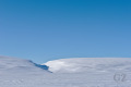 Porttikuru