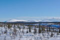 Pallastunturi Pallastunturi