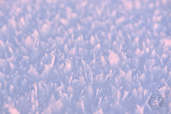 Snow crystals