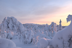 Ounasvaara