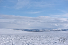 Skiing