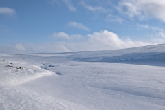 Frozen Marsujoki