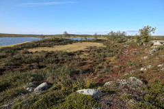 Magic Valley