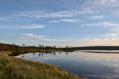 Tundra Pond Tundra Pond