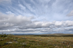 Tundra