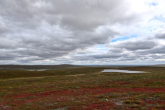 Hietakero