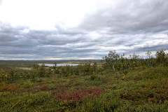 Tarvantovaara Wilderness Area