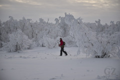 Skiing