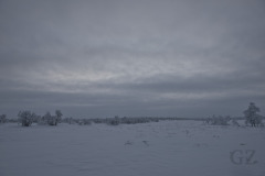 Tarvantovaara Wilderness Area