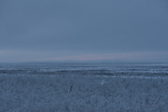 View Towards West