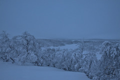 Tarvantovaara Wilderness Area