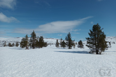 Towards Haaravaara